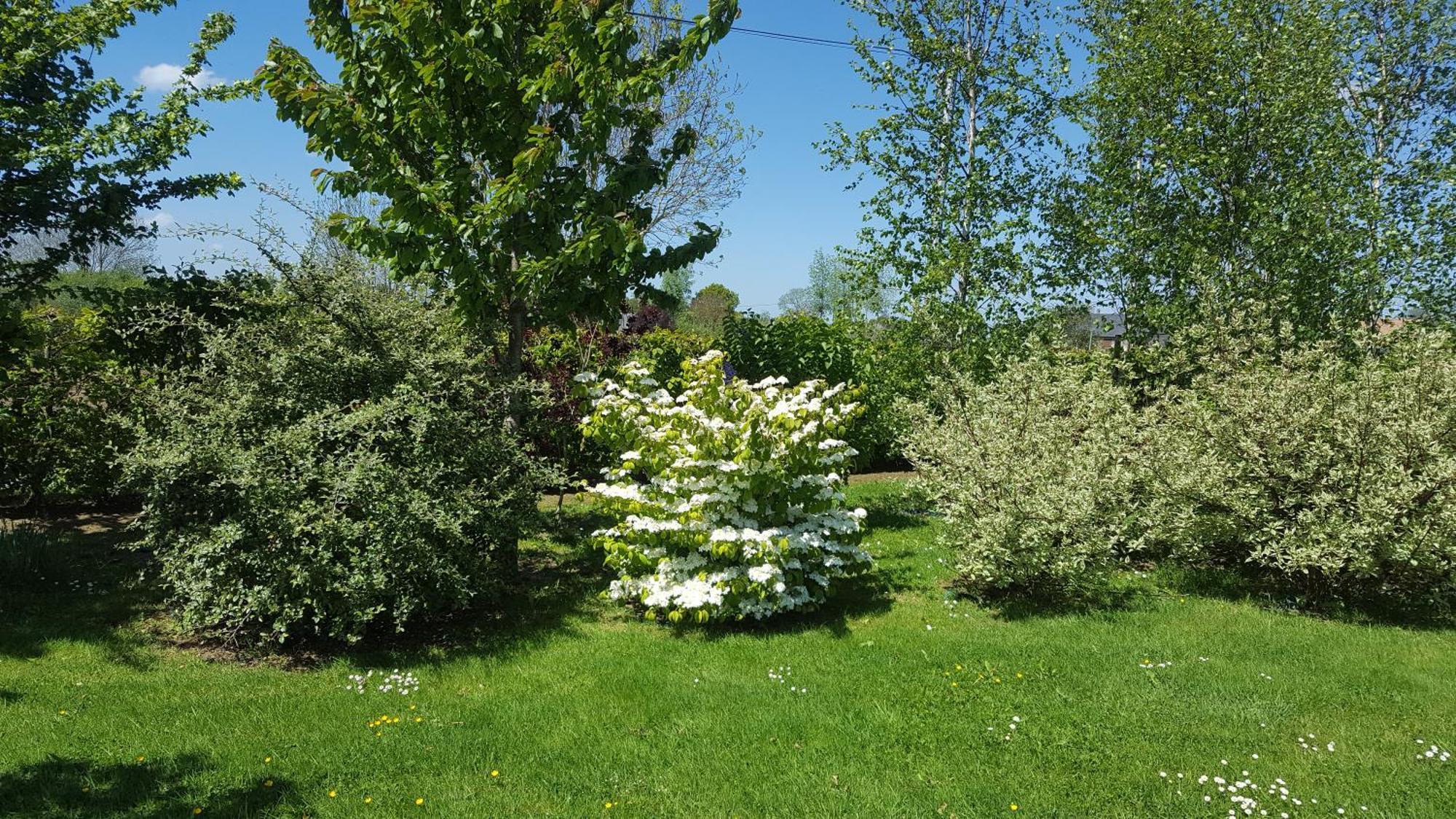 Gite D'Anne Et Ulysse Sept-Freres Esterno foto